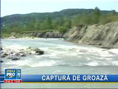 Descoperire sinistră în apropiere de Câmpina!