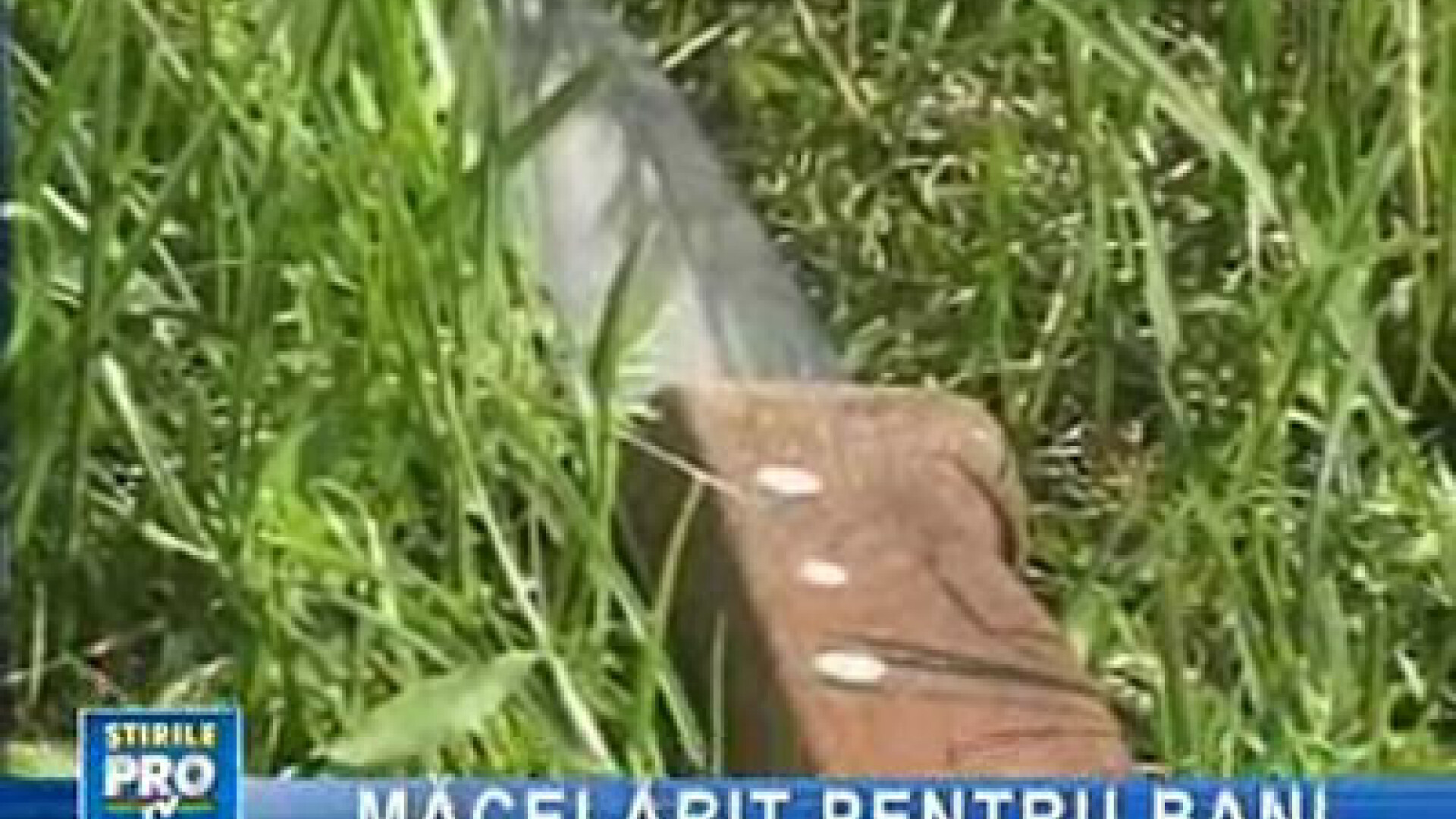 Crimă oribilă la Sibiu! Şi-a ucis iubitul cu mai multe lovituri de topor