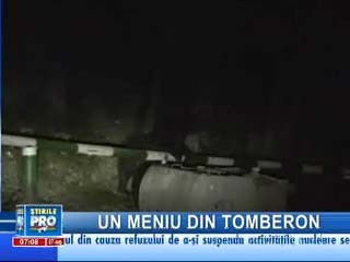 Un urs a luat cina la marginea oraşului Buşteni!