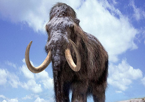 Scheletul unui mamut a fost descoperit în judeţul Covasna