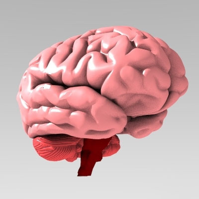 Viitorii doctori, cu gand de plecat 'afara' inca de la intrarea la Medicina