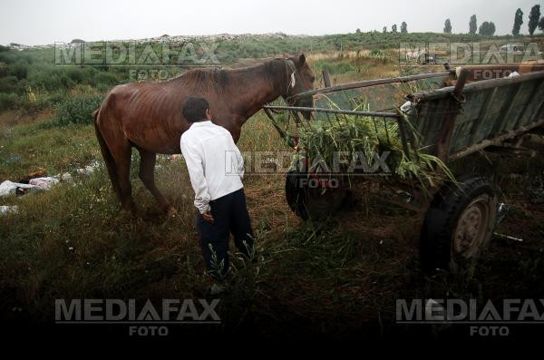 A căzut într-o groapă de gunoi în flăcări!