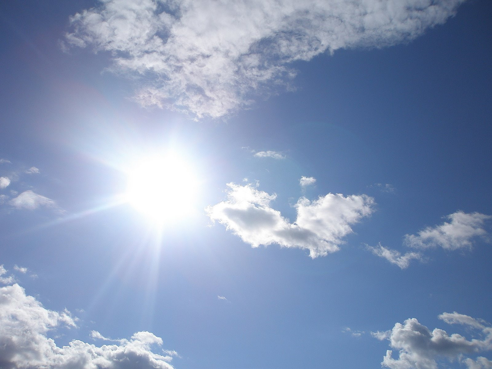 Apără-te de caniculă! Vezi aici cum!