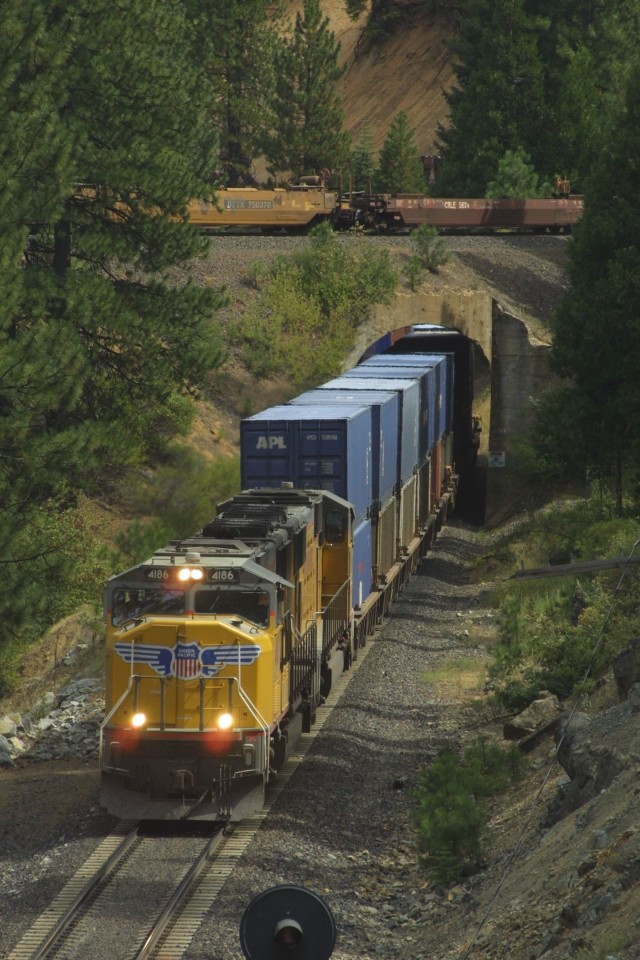 Gafe penibile pentru constructorii polonezi!