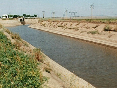 Descoperire macabra. Cadavrul unui barbat a fost gasit intr-un canal cu apa, la Ghiroda