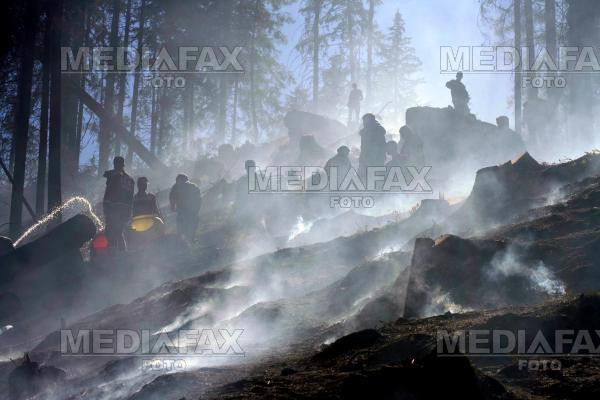 20 de hectare de pădure în flăcări pe Muntele Rece!