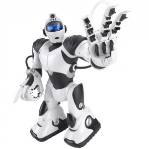 Robotul, cel mai bun prieten al bolnavilor