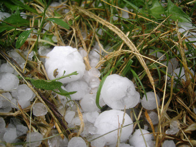 O ploaie torenţială a paralizat Buşteniul