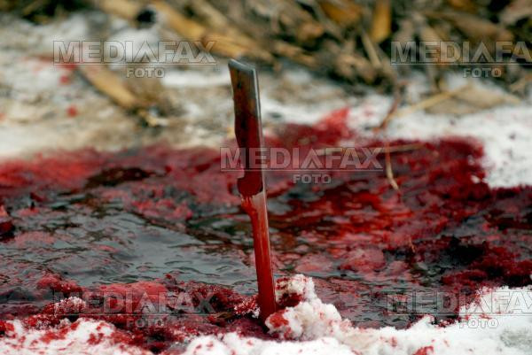 Tânăr român ucis cu sânge rece la Atena!