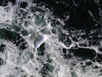 Cultivarea algelor ar putea rezolva problema energetica mondiala