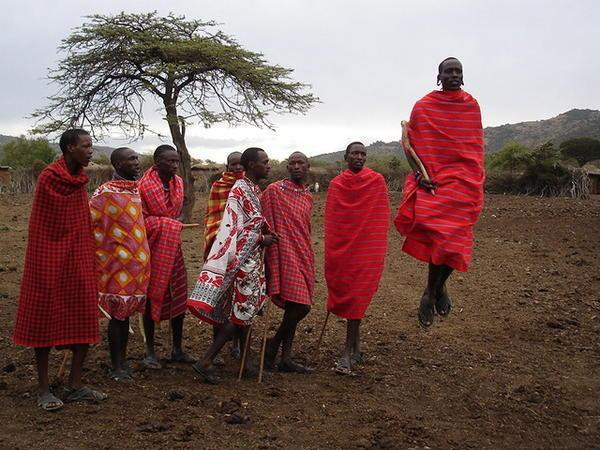 O cultura care graviteaza in jurul vacilor: Masaii