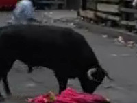 Mii de oameni, alergati de o turma de tauri furiosi. La Pamplona!