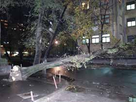 Extremele se atrag: dupa canicula, furtunile lovesc Romania!