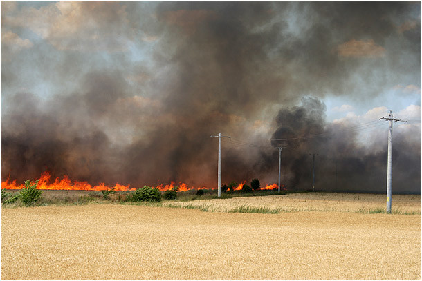 Un incendiu devastator a distrus hectare intregi de camp