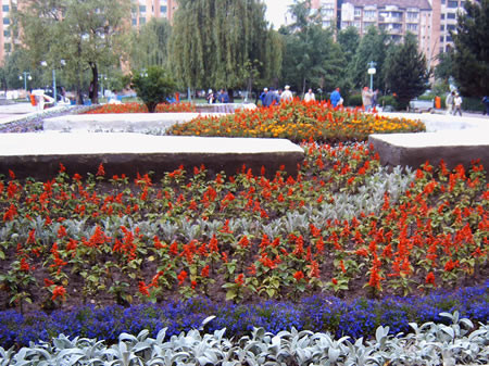 Petrosani: productii porno gratuite printr-o retea wireless