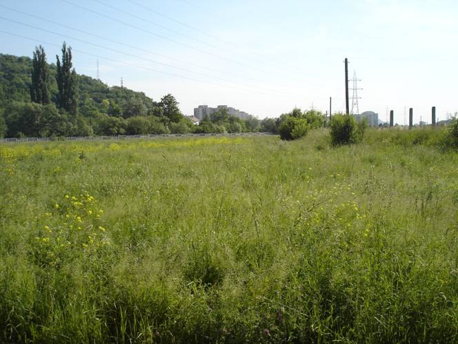 Statul ofera 45 de euro pe hectarul de teren luat in arenda si cultivat