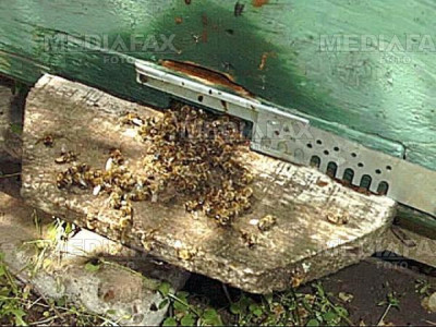 Otravit din cauza ca nu s-a spalat pe maini!