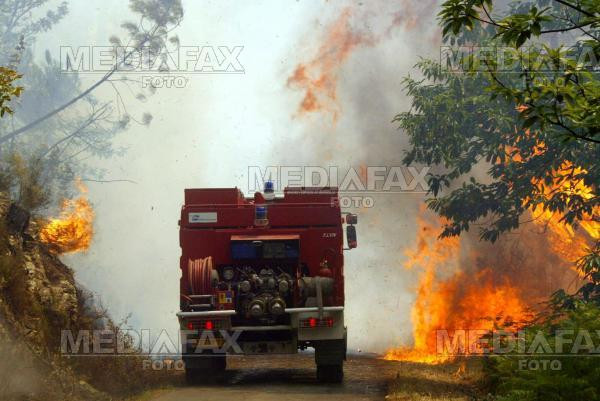 Incendiu de proportii la marginea unei paduri din Hunedoara