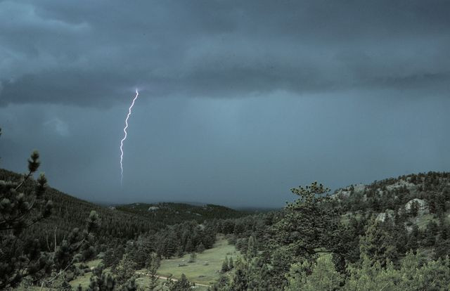 Trasnetul, o reactie divina la minciuna?