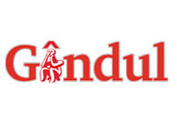 Emoactivistii politici - editorial Rodica Ciobanu