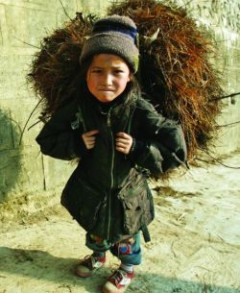 Copil de 12 ani, obligat sa munceasca pana la epuizare