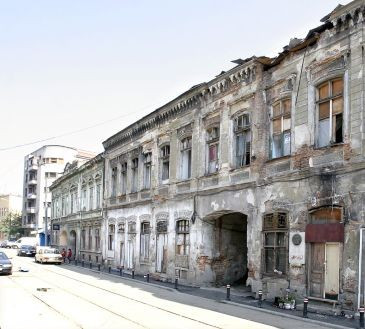 O batrana traieste cu zeci de caini si pisici in doar doua camere!