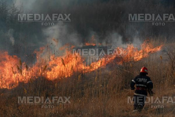 Pericol de explozie la Dambovita! Mai multe hectare de vegetatie au ars