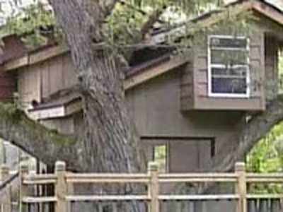 Viata in casa din copac!