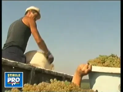 19culesviebeta060908