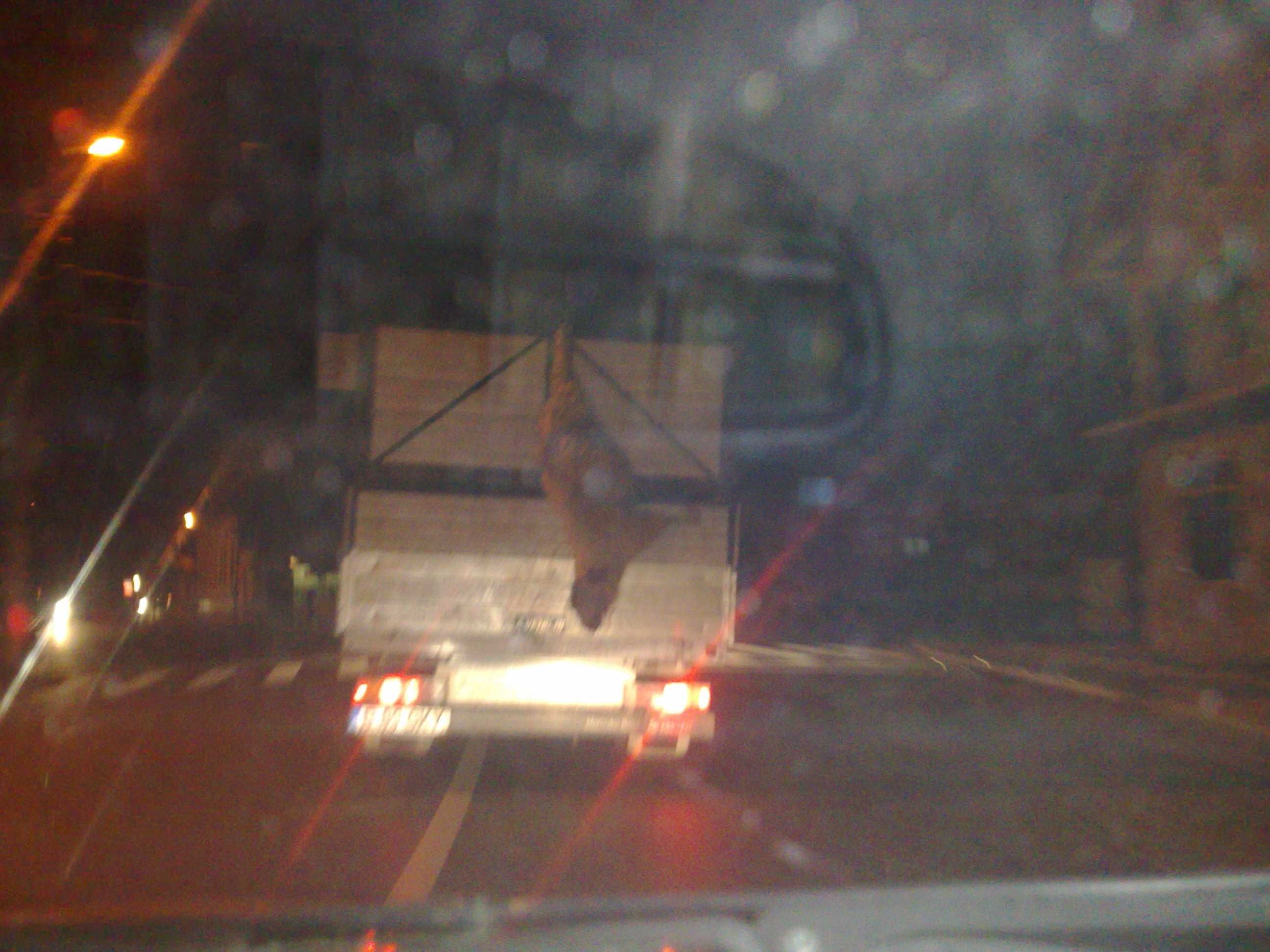 Oaie legata de TIR - cruzime sau teribilism?