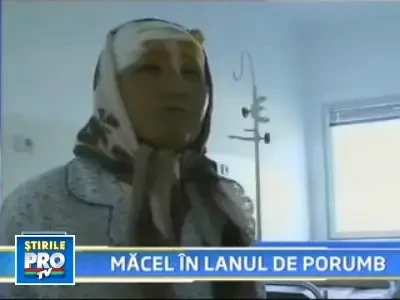Si-a omorat un consatean pentru ca isi scapase vitele in lanul sau de porumb