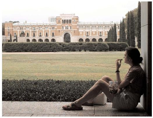 Ramanem fara profesori universitari