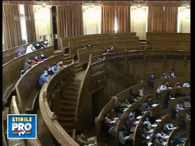 Ramanem fara profesori universitari