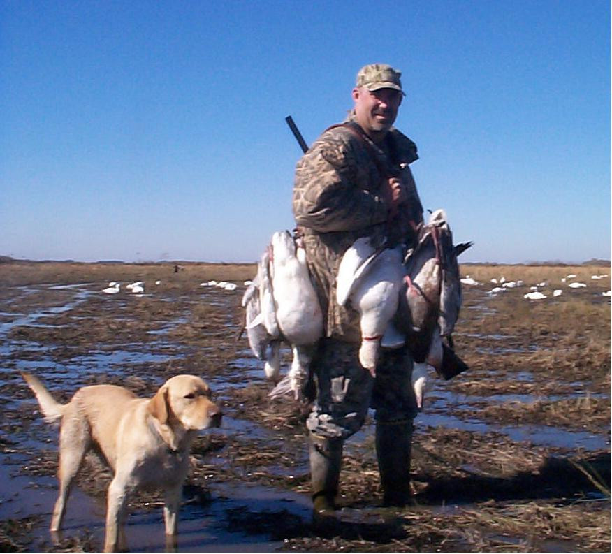 Protest ecologist! Va fi permisa vanatoarea in rezervatiile naturale?