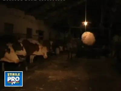 Bistrita: a murit incercand sa-si salveze sotia