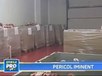 Inchiderea Protan are efectul unei bombe ecologice!