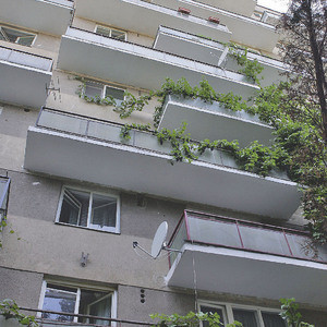 S-a sinucis pentru nu a mai vrut sa traiasca fara femeia pe care o iubea