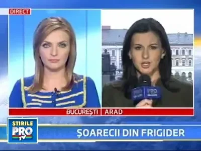 Soareci in frigider! A patit-o o familie din Deva