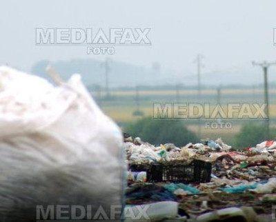 Timisorenii ar putea plati mai mult ca sa le fie ridicat gunoiul