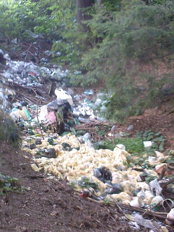 Cele mai bune fotografii trimise de useri