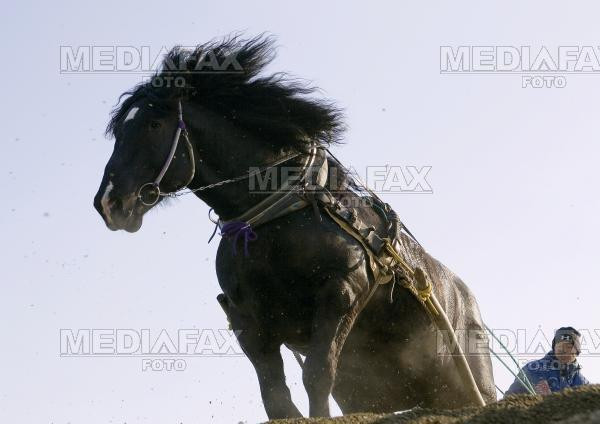 Au vandut-o pe Doina!