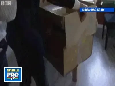 Conditii all inclusive la un hotel din Olanda: piton in baie!