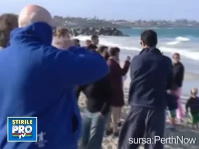 Sfarsitul unui urias alb