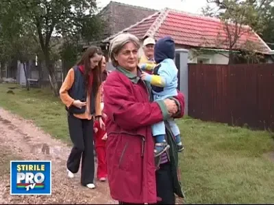 A vazut semne divine cand a taiat un copac din gradina!