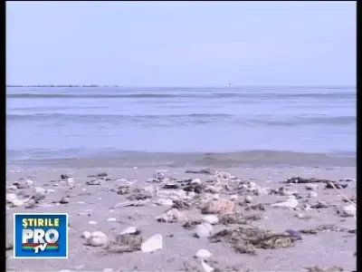 A inceput week-endul sarmanilor pe litoral