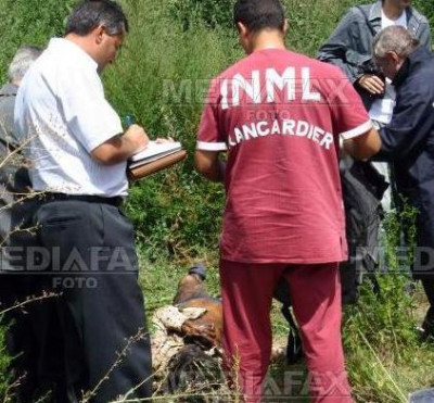 Cadavru in descompunere descoperit langa Blaj!