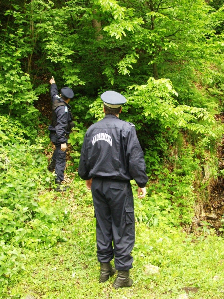 Hoti de lemne, surprinsi in flagrant de jandarmi