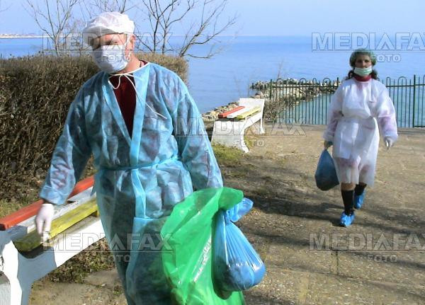 O lebada cazuta din zbor a declansat alerta de gripa aviara la Buzau