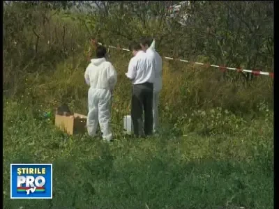 Cadavru in descompunere descoperit langa Blaj!