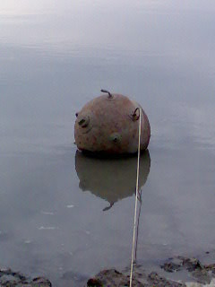 Bomba activa in Dunare!